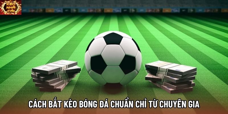 Cách bắt kèo bóng đá chuẩn chỉ từ chuyên gia